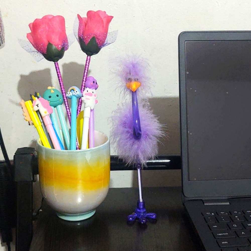 Bird Pens - Picture 6 of 7
